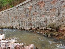 八旬臺(tái)胞“回鄉(xiāng)記”：為兩岸青年交流架起“連心橋”