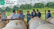 全國(guó)著名微生物專家劉作易為畢節(jié)試驗(yàn)示范基地“把脈”