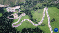 大道通進夏牧場