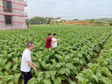 湖南信息學(xué)院藝yang青春學(xué)生團(tuán)隊(duì)走進(jìn)衡陽(yáng)縣官町村調(diào)研