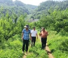 六大河報道 | 李克明一行到放珠鎮(zhèn)開展看學(xué)幫活動