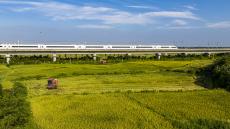 安徽廬江：科技助力 早稻喜獲豐收?