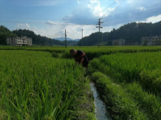 一位基層干部的鄉(xiāng)村情懷