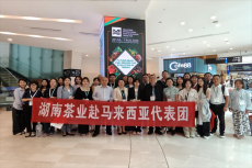 深耕擴(kuò)大東南亞出口 ?努力開(kāi)辟新渠道市場(chǎng)??