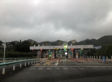 六大河?特寫篇 | 百里杜鵑迎來最美季節(jié)