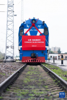 “陸良蔬菜號”中老鐵路冷鏈班列首發(fā)