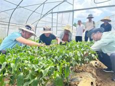 六大河?| 畢節(jié)老科協(xié)“看學(xué)幫”活動在納威赫迎“熱”而上