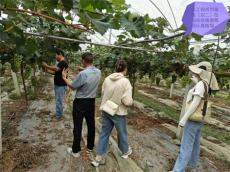 六大河報道 | 劉富金一行調研指導雨順農業(yè)觀光園?