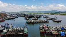 廣東茂名：千帆競發(fā)迎開漁