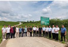 六大河報道 | 班程農：要走規(guī)范化標準化產業(yè)化品牌化之路