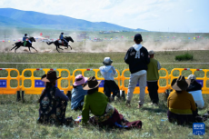 青海湖畔的草原盛會(huì)