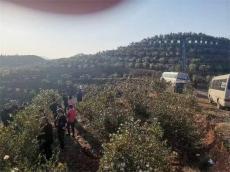 湖南瀘溪華強(qiáng)油茶攜手千戶(hù)農(nóng)民共繪鄉(xiāng)村振興新畫(huà)卷