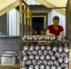 安徽廬江：食用菌生產進入黃金季節(jié)