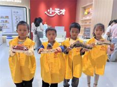 長沙縣舉行“筑夢中國”古建筑拼圖親子活動(dòng)