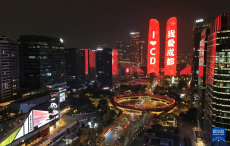 成都裸眼3D數(shù)字熊貓上新動(dòng)效