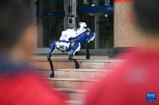 校園科技節(jié)點亮科技夢想