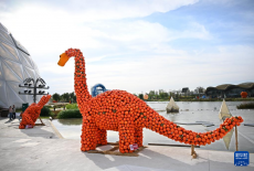 青島：“南瓜王國”吸引游客