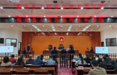 衡南縣法院邀請人大代表、政協(xié)委員旁聽新型毒品案件庭審