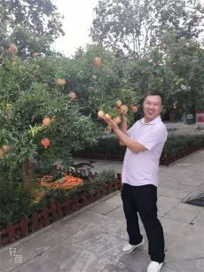 《沉默的榮耀》：于無聲處聽驚雷，向死而生鑄豐碑?