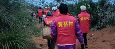 常寧市宜陽街道：代表巡山護“金果” 茶油飄香映初心
