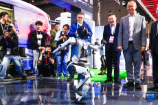 第八屆進(jìn)博會(huì)丨中國館精彩亮相