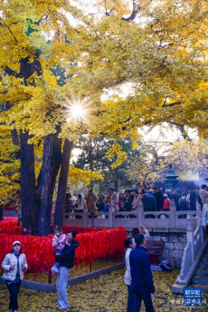 初冬京郊：斑斕畫卷徐徐展開