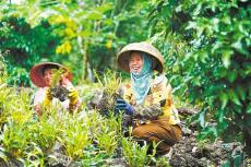 機遇?？? /></a>
                                <div   id=