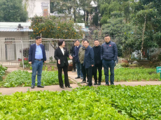 岳陽(yáng)市社科聯(lián)深入基層調(diào)研，助推學(xué)校勞動(dòng)教育工作發(fā)展