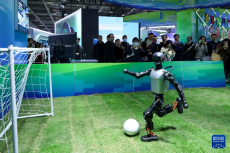 第六屆長三角文博會舉行