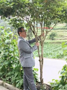 租一段好時(shí)光