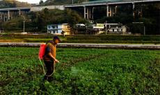 貴州畢節(jié)土著益生菌種植酵素已在全國17個省示范推廣