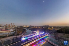 上海：平轉式開啟橋亮相