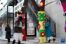大樹披“針織外衣” 北京添多彩冬景