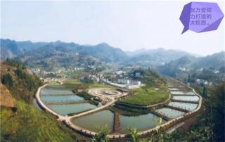 特別篇丨貴商的“太極”符號：共產(chǎn)黨員張萬登同志追記