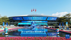 第三屆中國僑智發(fā)展大會在福州舉行