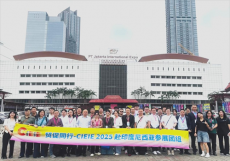 依托國際電商平臺(tái) ?拓展東盟出口市場 ?